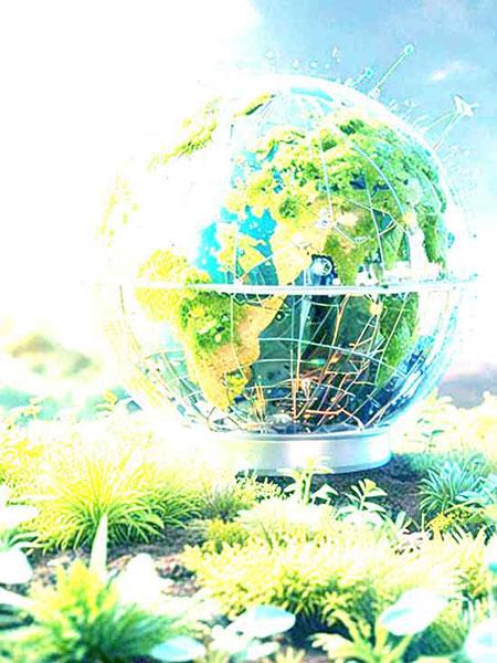 Higher Education Image